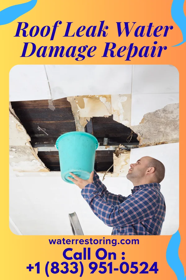 Roof Leak Water Damage Repair in Montezuma, GA